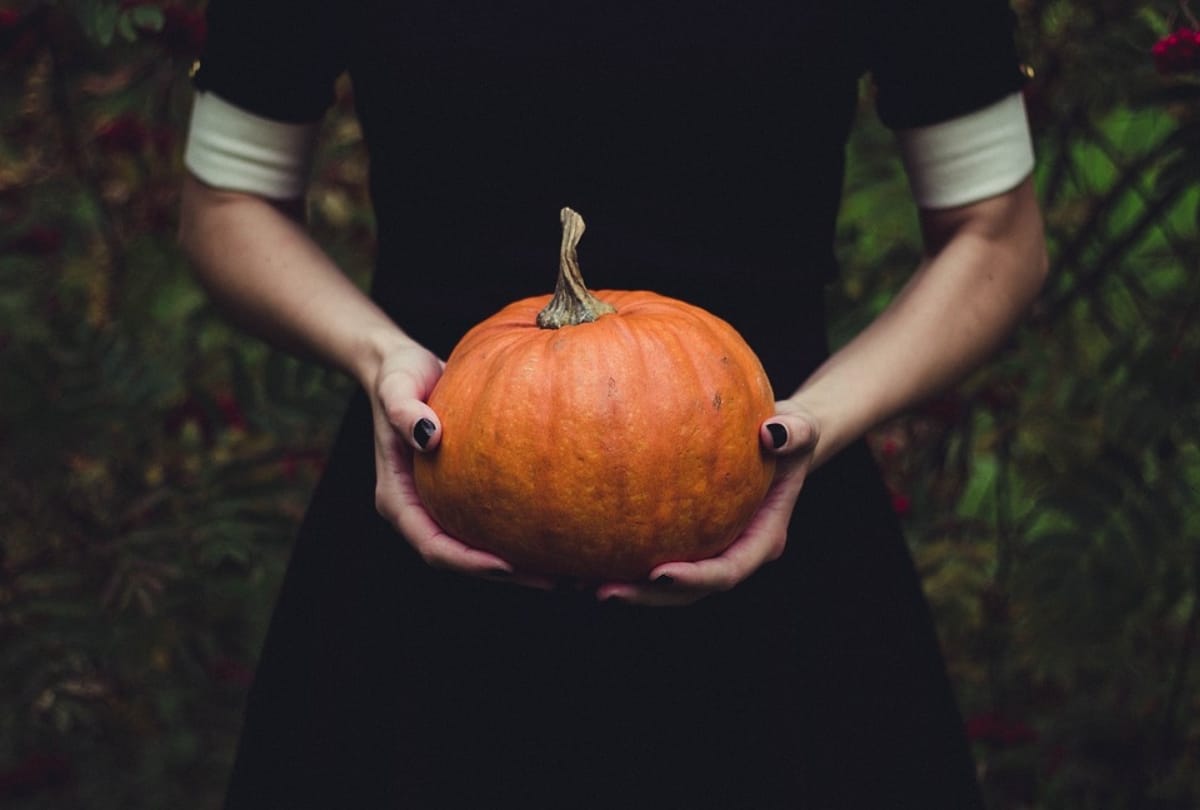 best hacks of pumpkin for skin