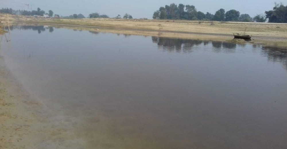 Water polluted river, dead fish
