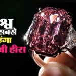 this is world costliest pink diamond termed as  Leonardo da Vinci