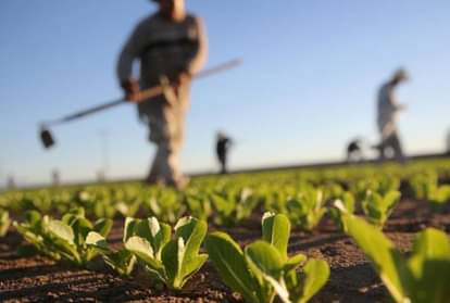 Haryana's farmers generate electricity from solar power and Sell to corporations