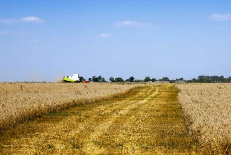 Haryana's farmers generate electricity from solar power and Sell to corporations