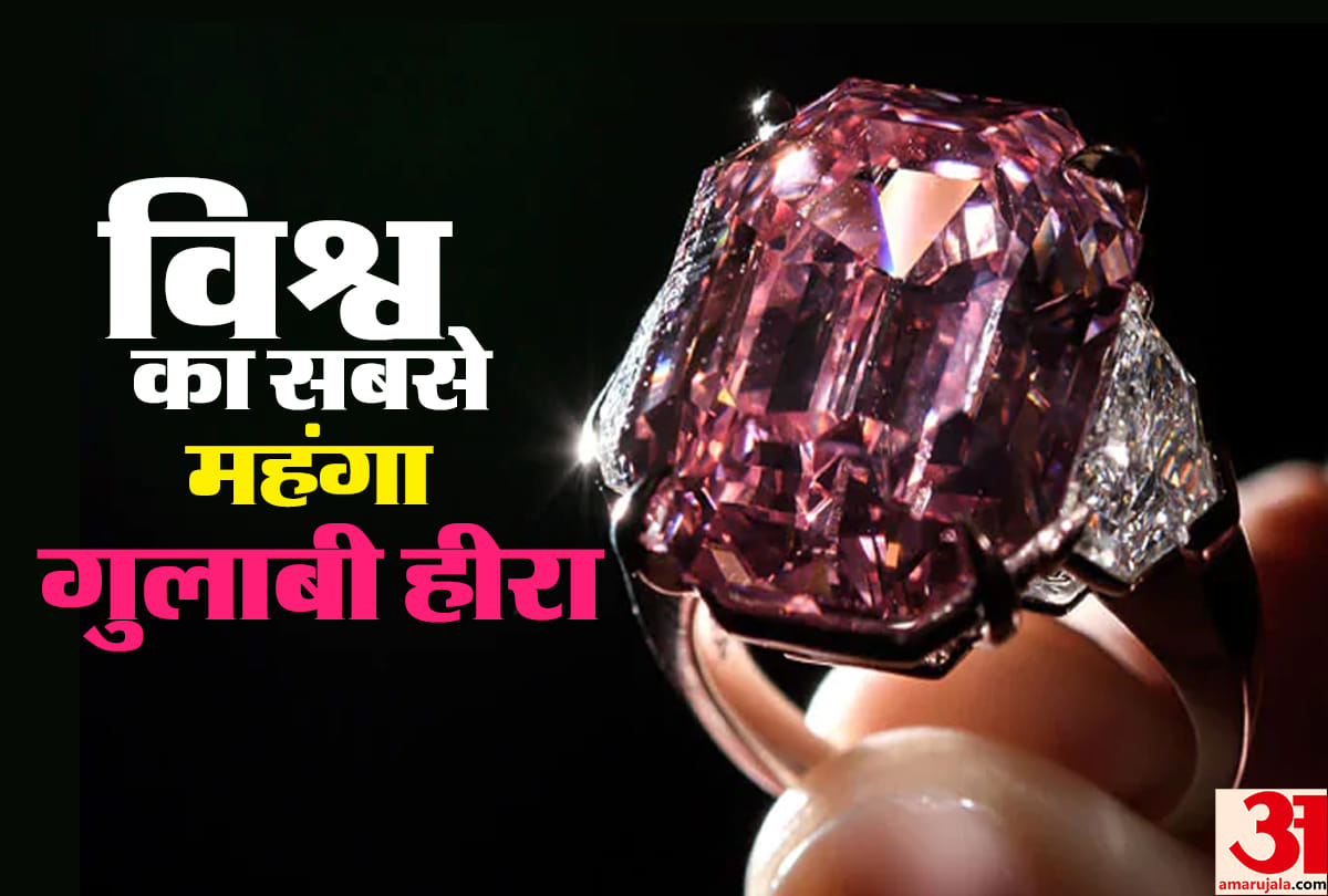 this is world costliest pink diamond termed as  Leonardo da Vinci