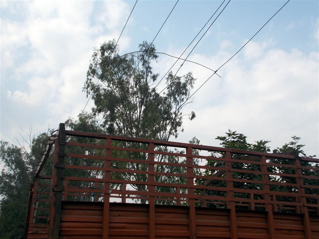 Two villagers die from electricity wire, four scorched