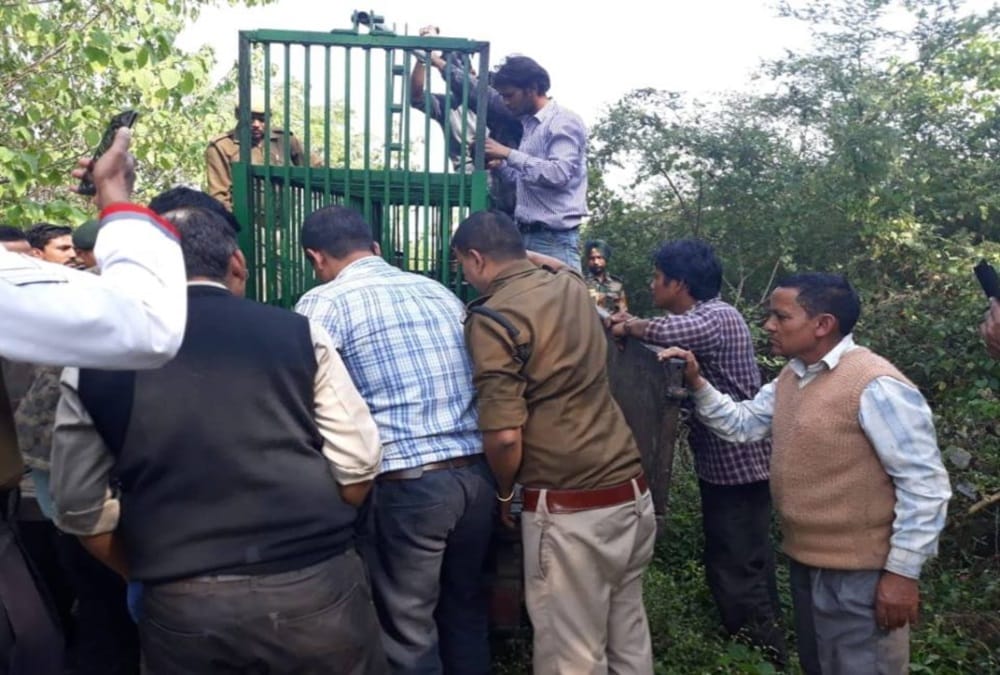 Leopard Death after stuck in Clutch wire and cross stomach at ima dehradun