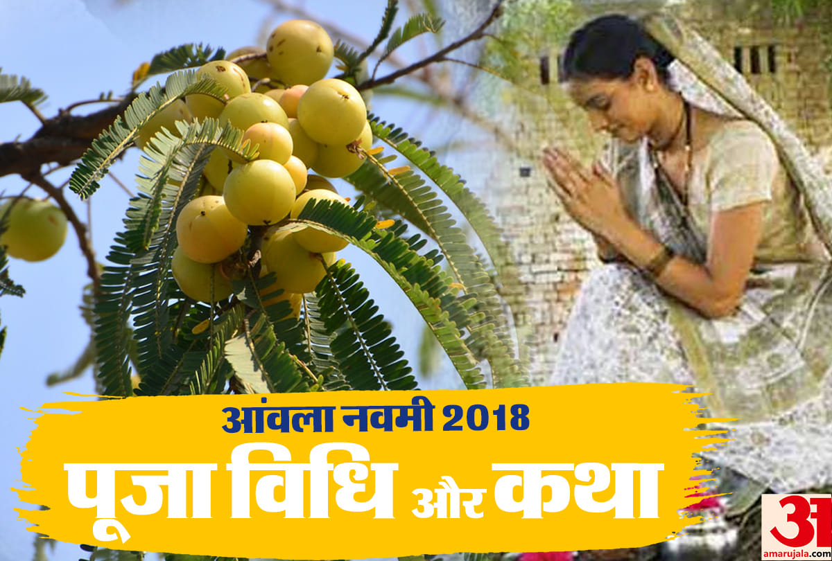 Amla Navami 2018 Vrat Katha Puja Vidhi Ka Samay Shubh Muhurat Akshay Navami Kab Hai