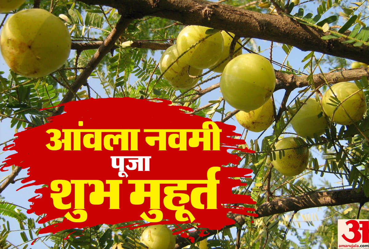 Akshay Navami 2022: Shri Hari Vishnu will be worshiped on November 2 importance of eating under the amla tree