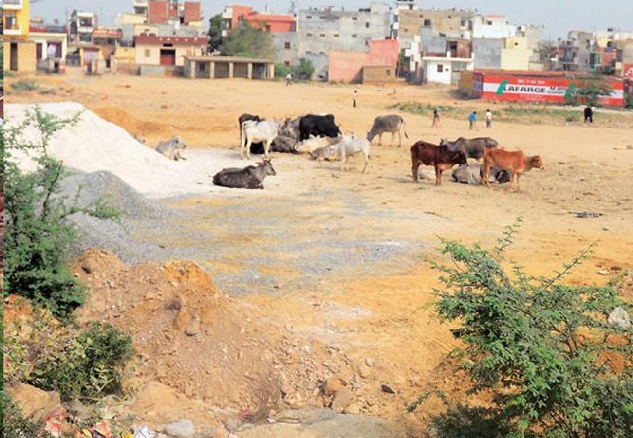 Rupees of Two crore land grabbing in kanpur