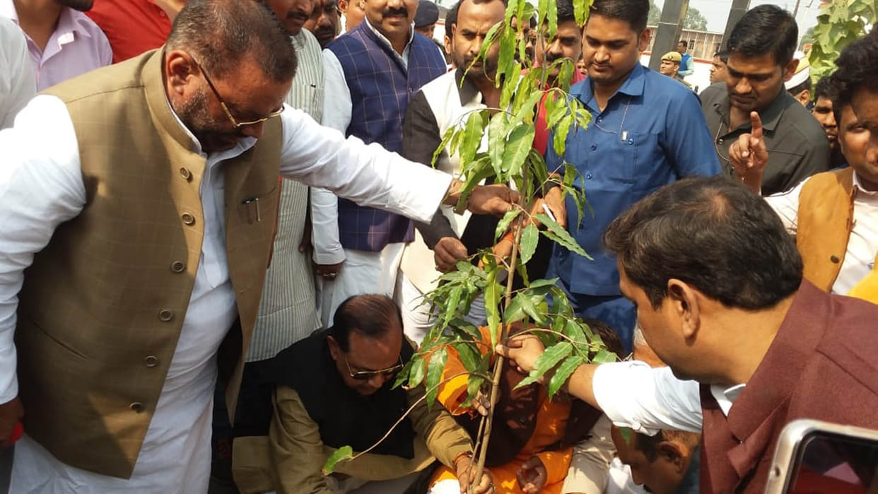 ग्लोबल वार्मिंग रोकना है तो लगाओ अधिक से अधिक  पौधे