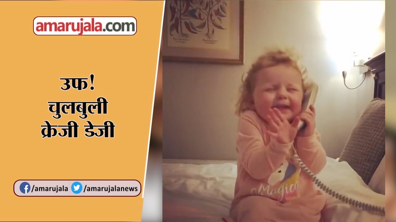 क्रेजी डेजी का वायरल वीडियो