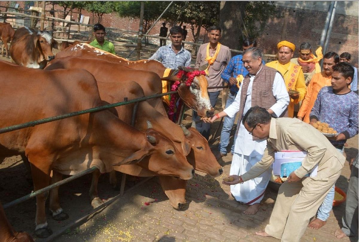 gopashtami celebration in mathura vrindavan