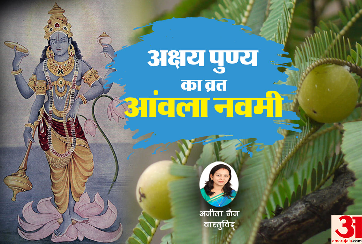 Amla Navami 2018 significance vrat puja vidhi importance of akshay navami
