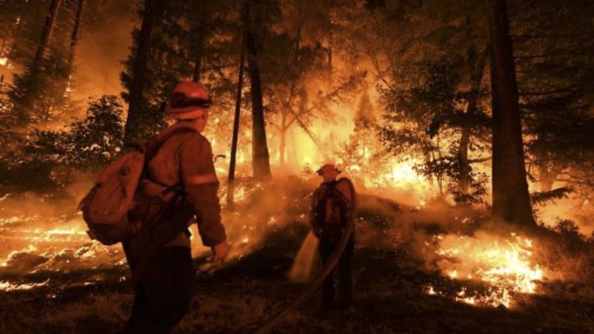 missing number of people increased in the fire in California forest, Trump can go for visit