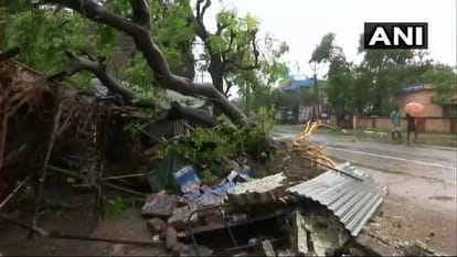 year ender 2018 natural disasters india kerala floods america california fire indonesia tsunami