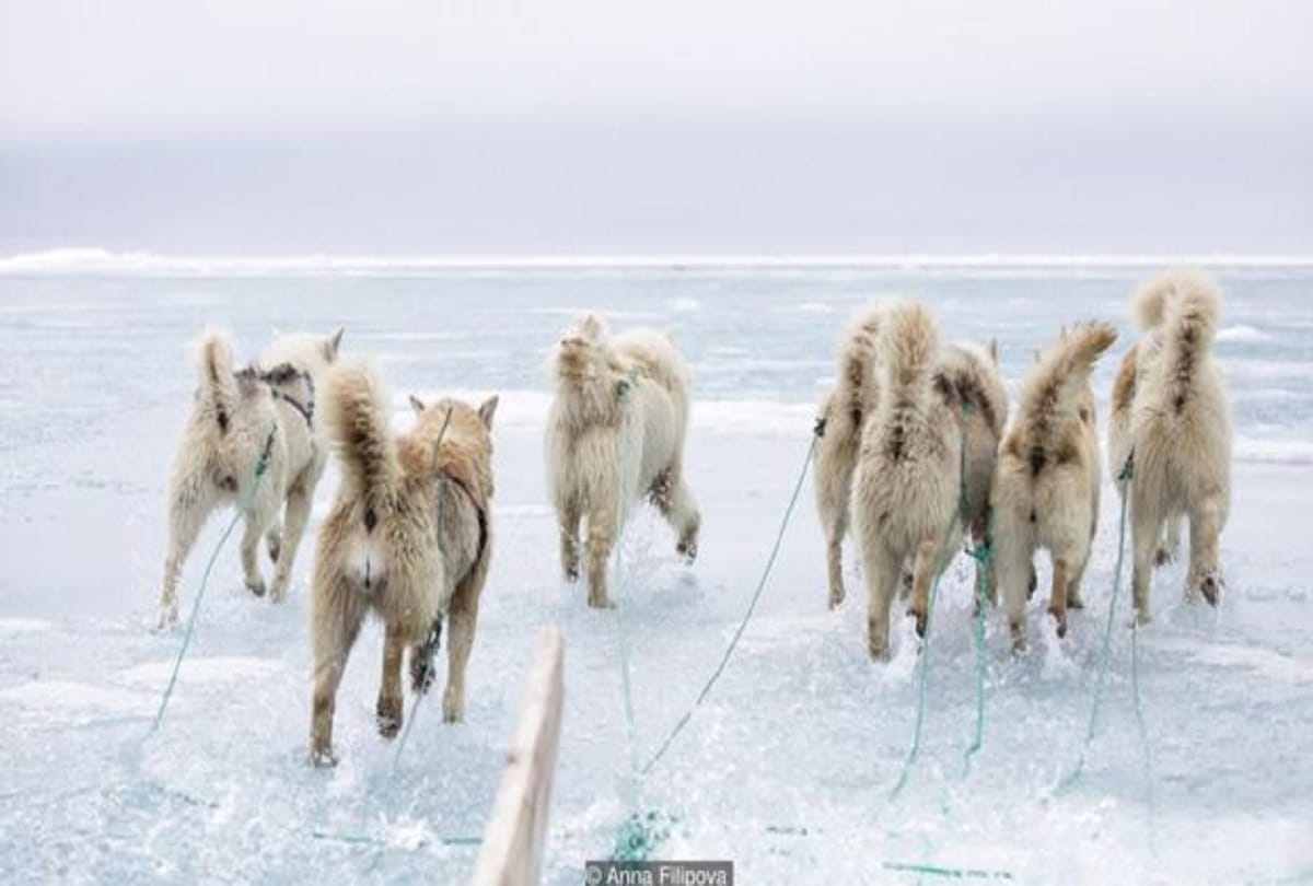 remote Arctic town which melting gradually