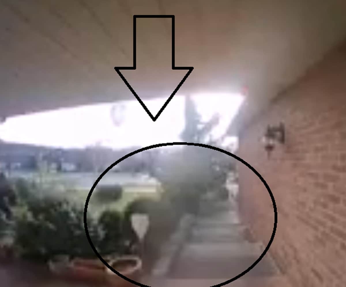 Something odd seeing on door captured on CCTV