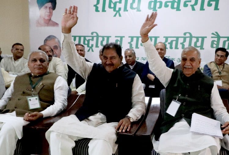 LokSabha Election 2019, Revolt in INLD, Party Will Work Under Abhay Chautala