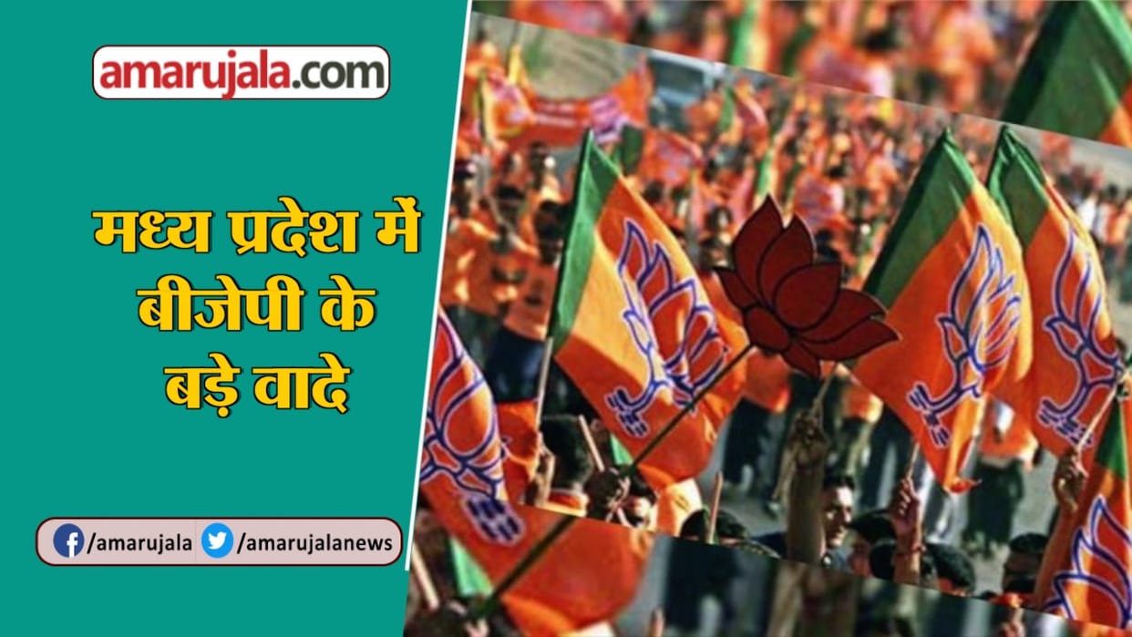 youa sansad bjp