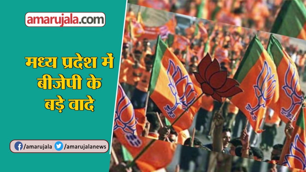 बीजेपी