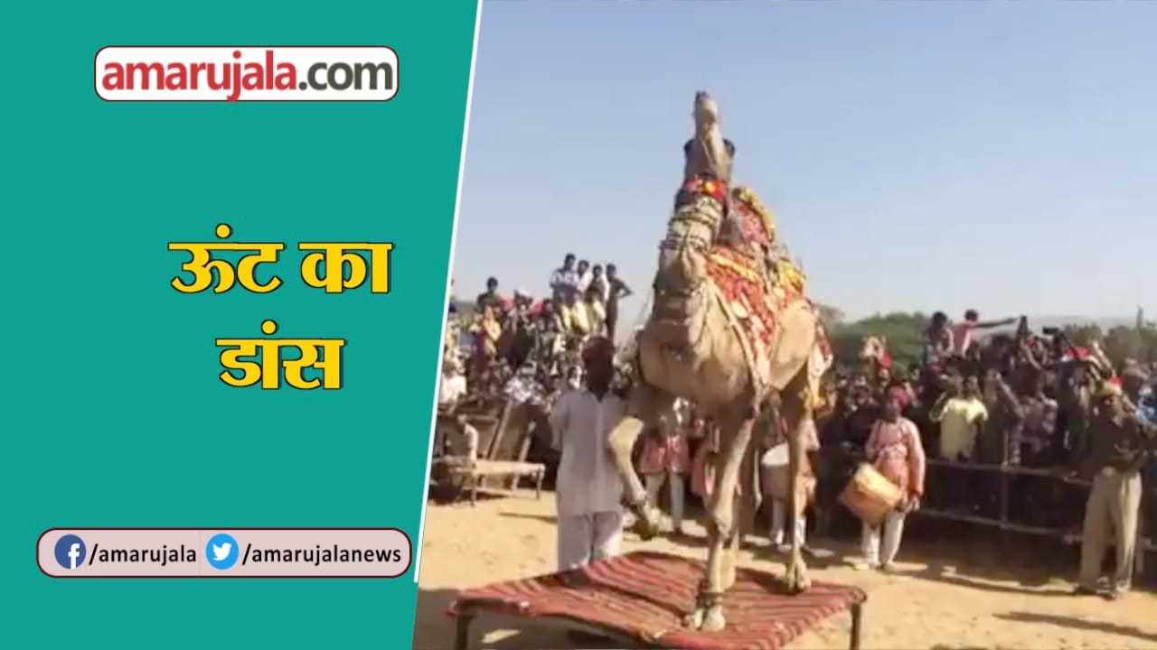 ऊंट
