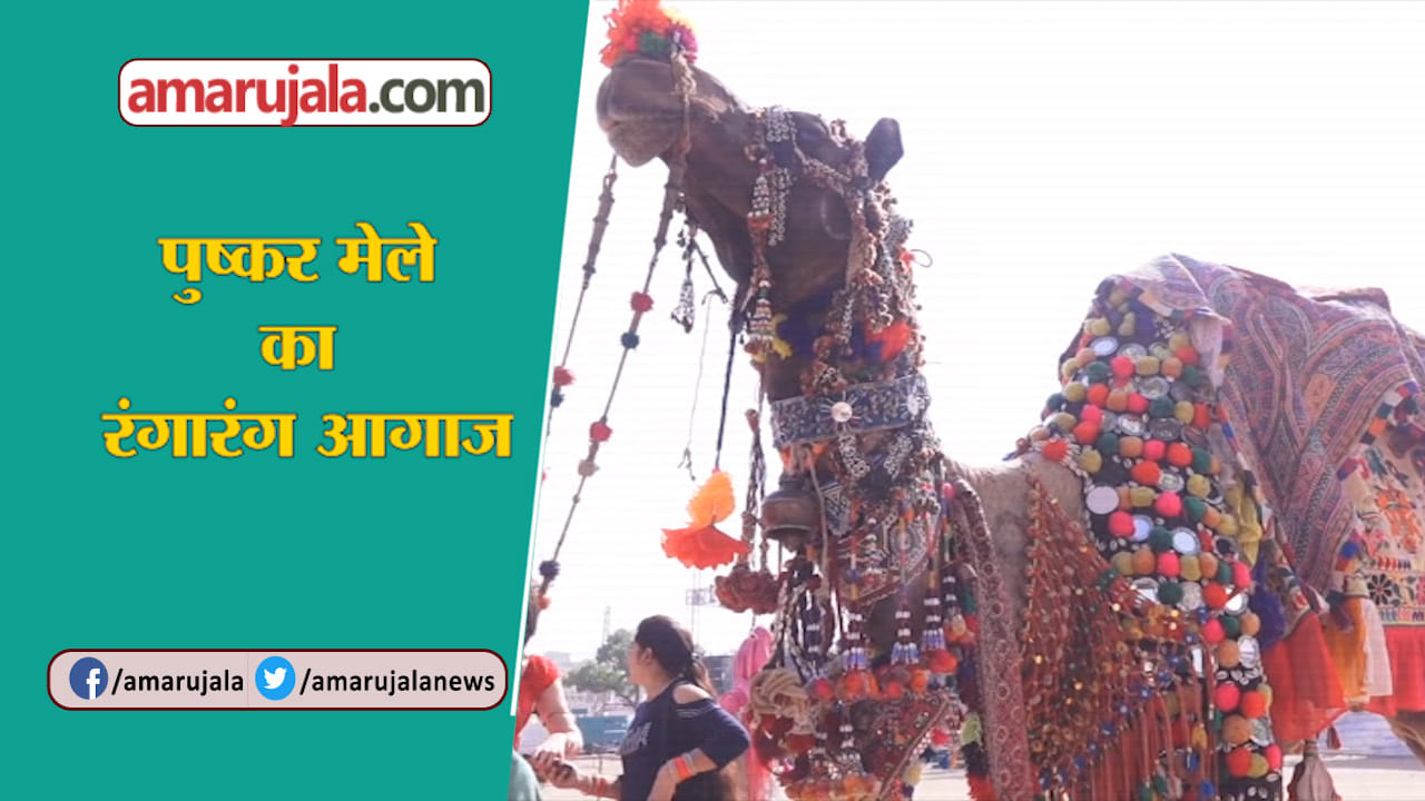 ऊंठ
