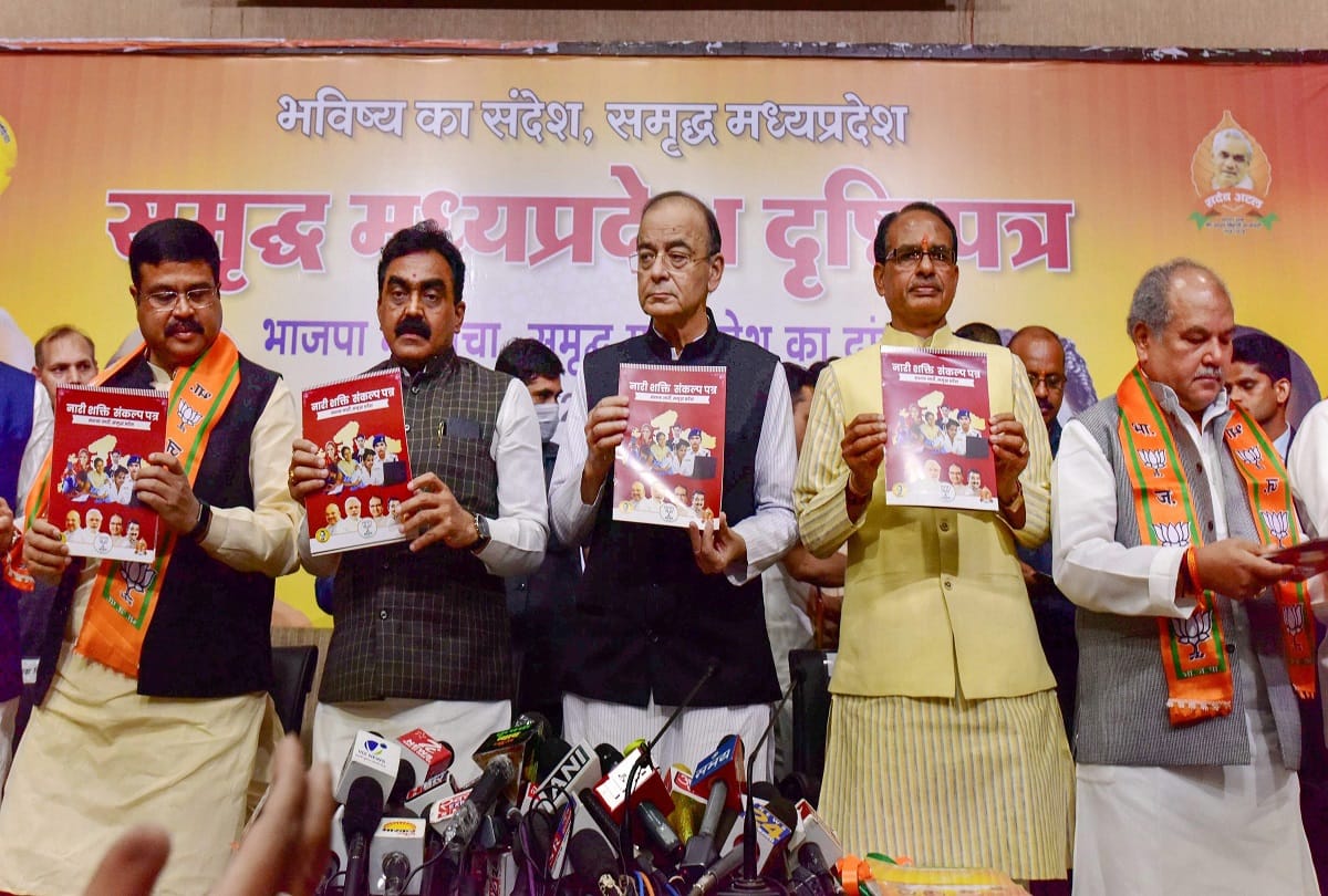 BJP manifesto Drishti patra for Madhya Pradesh Assembly Elections