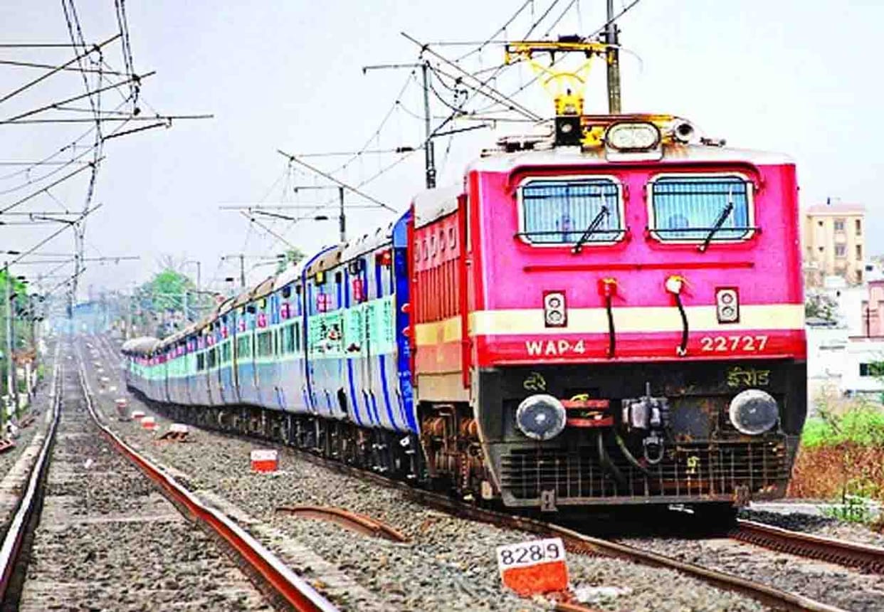 A swarm of cattle in front of the high speed Chitrakoot Express