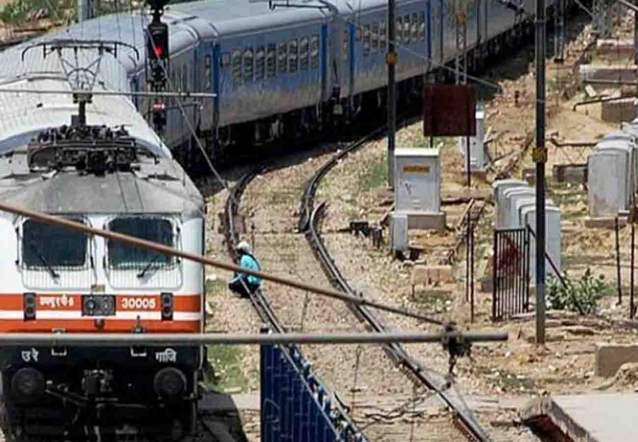 A swarm of cattle in front of the high speed Chitrakoot Express