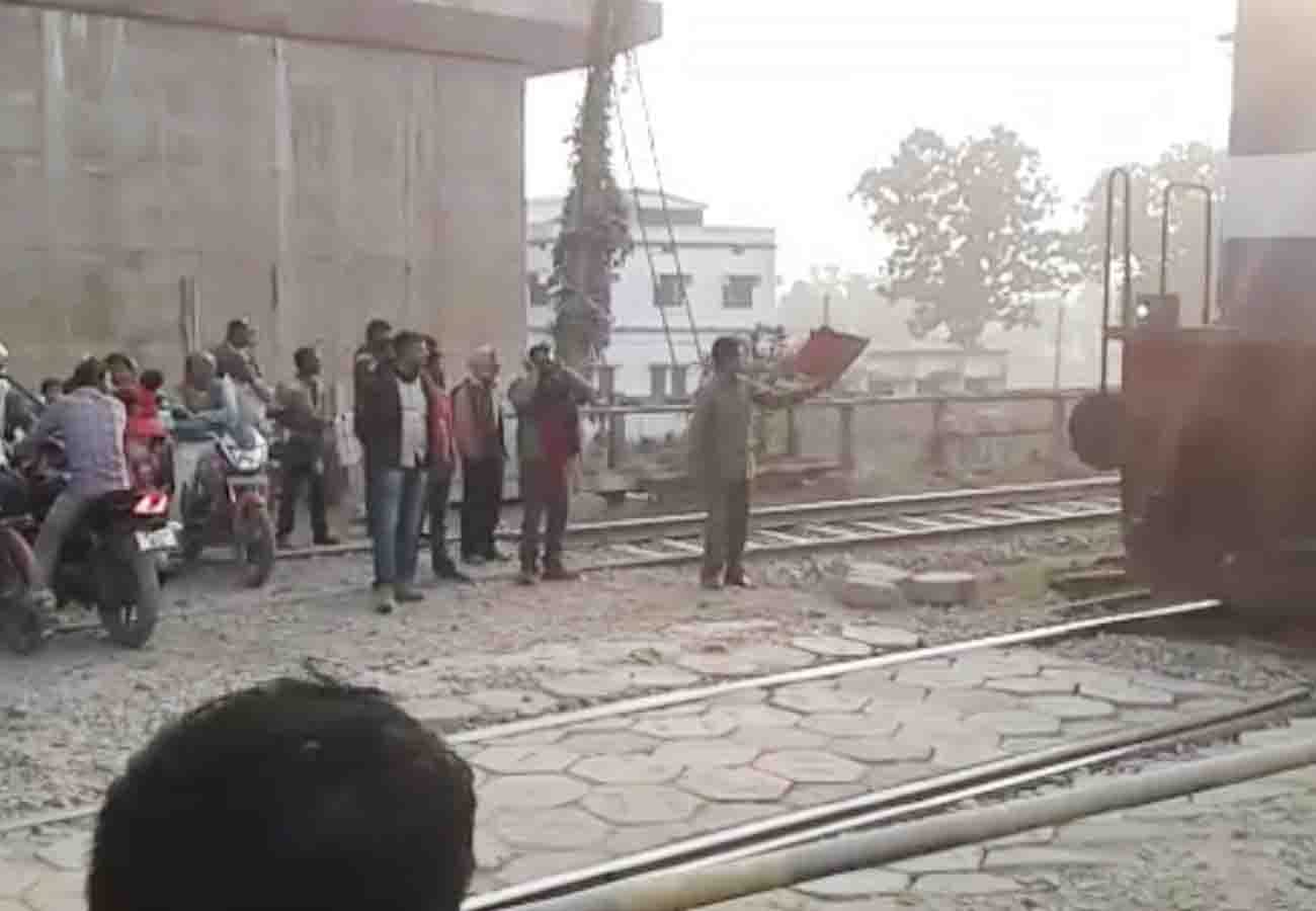 A swarm of cattle in front of the high speed Chitrakoot Express
