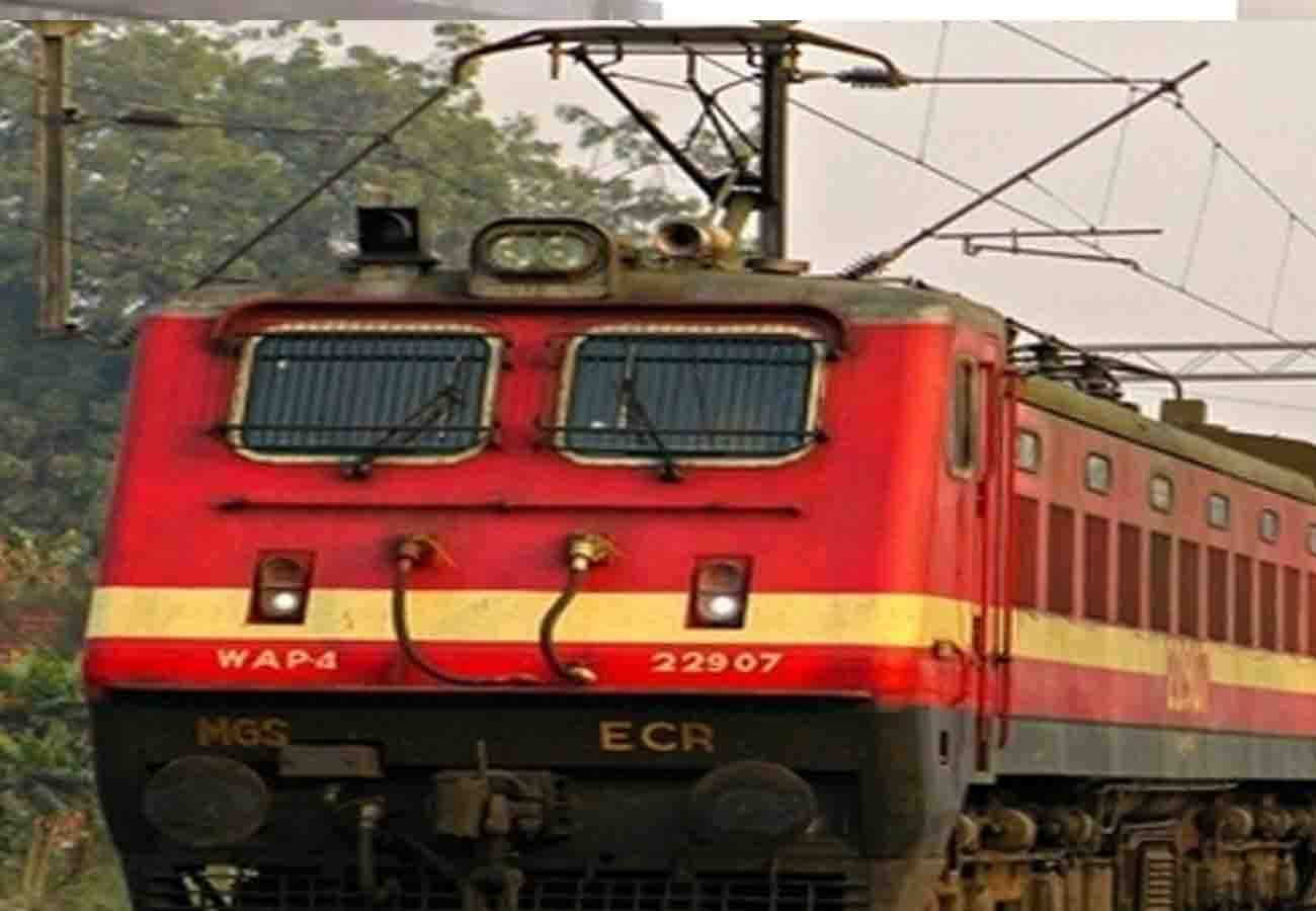 A swarm of cattle in front of the high speed Chitrakoot Express