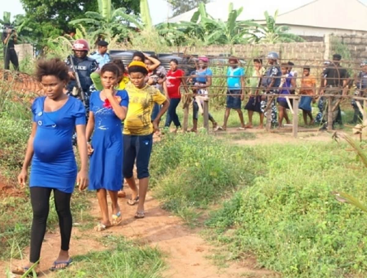 baby farming crime increase day by day in nigeria