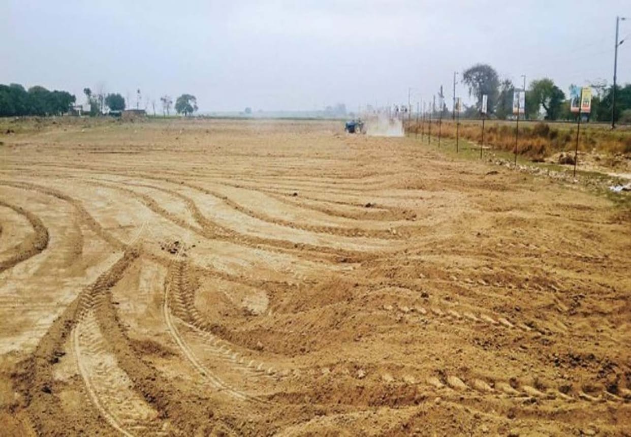 son tried to kill his mother in greed of land
