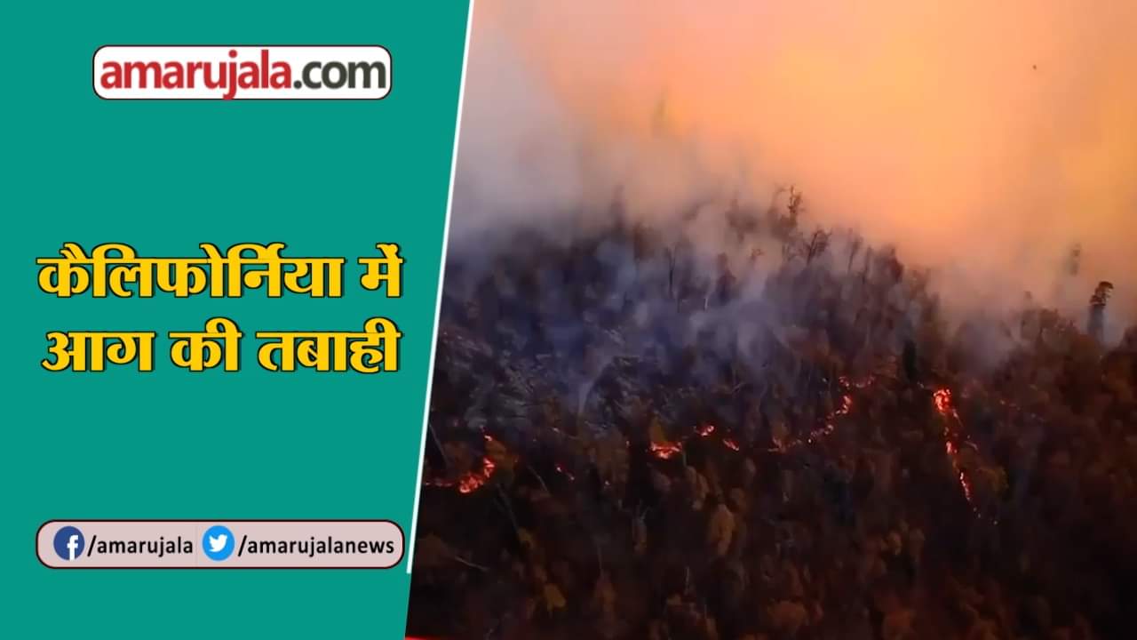 डोनाल्ड ट्रंप