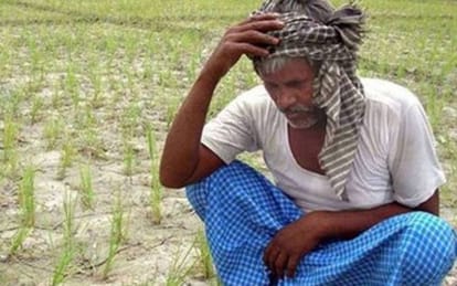 जलवायु परिवर्तन से कृषि को नुकसान