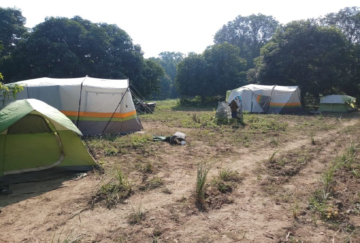 tourists of switzerland liked pilibheet tiger reserve