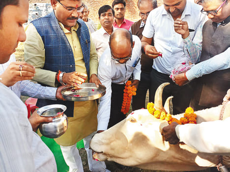 Nand Baba award will be conferred on cattle man