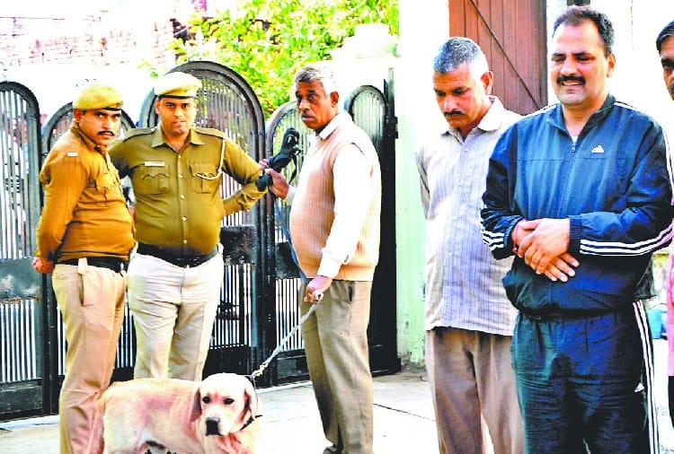 Four Family Members Murder in Panchkula, Big Question for Whats they Killed by Murderer