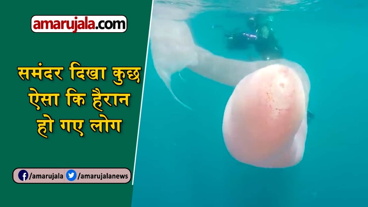 डिजाइन पिक्चर