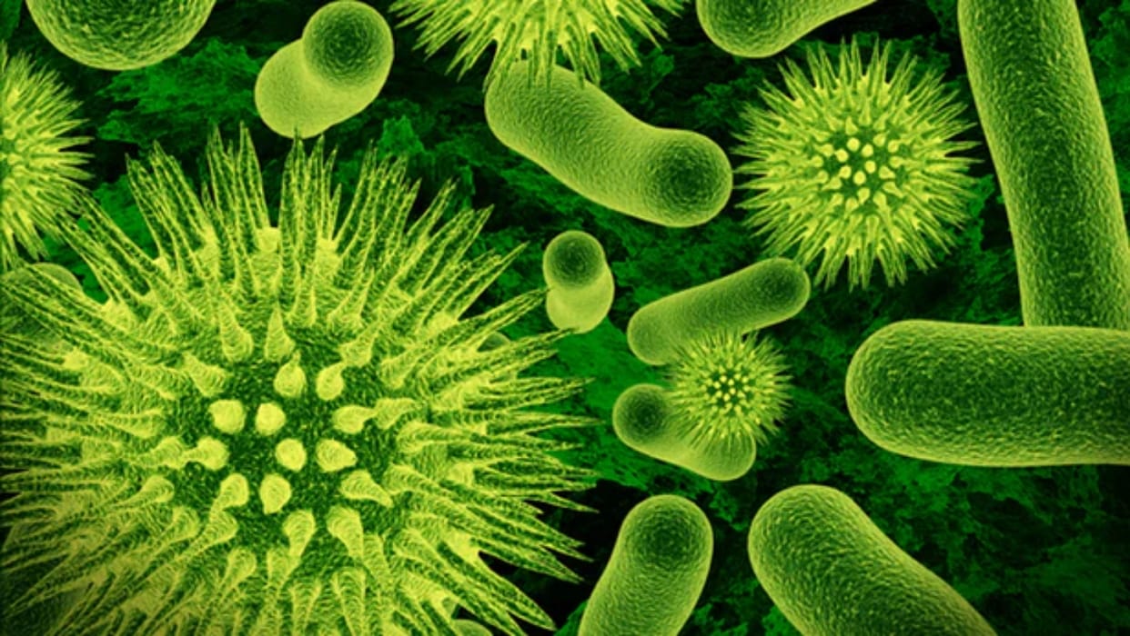 ICMR report reveals that due to an increase in the use of antibiotics the risk of superbugs increased