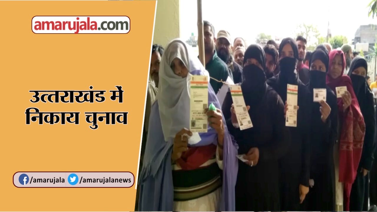 निकाय चुनाव