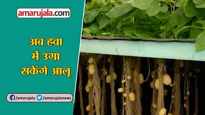 Khushkhabar about Potato Aeroponic, kmp expressway, violet metro line, who, laddak road