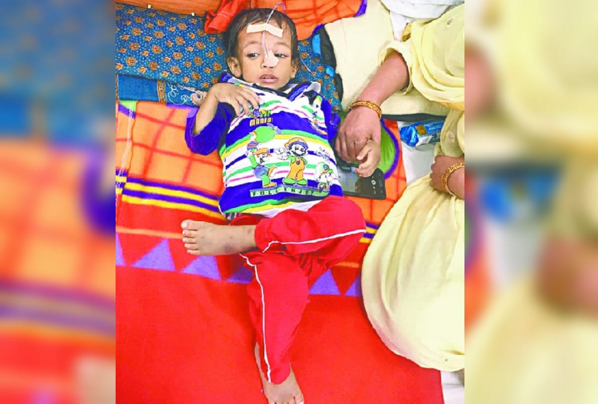 Half year old innocent child Death from gouche