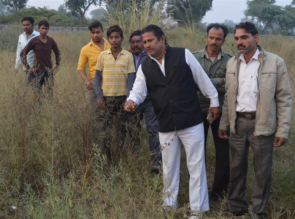Cutting cattle and throwing relics, sensation