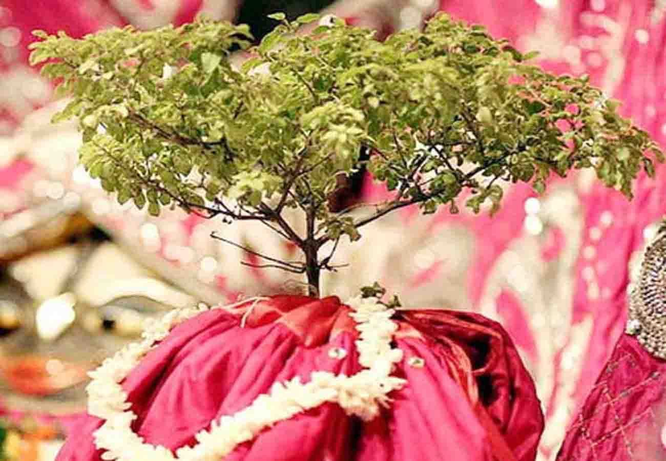 Dev uthani ekadashi and tulsi vivah today