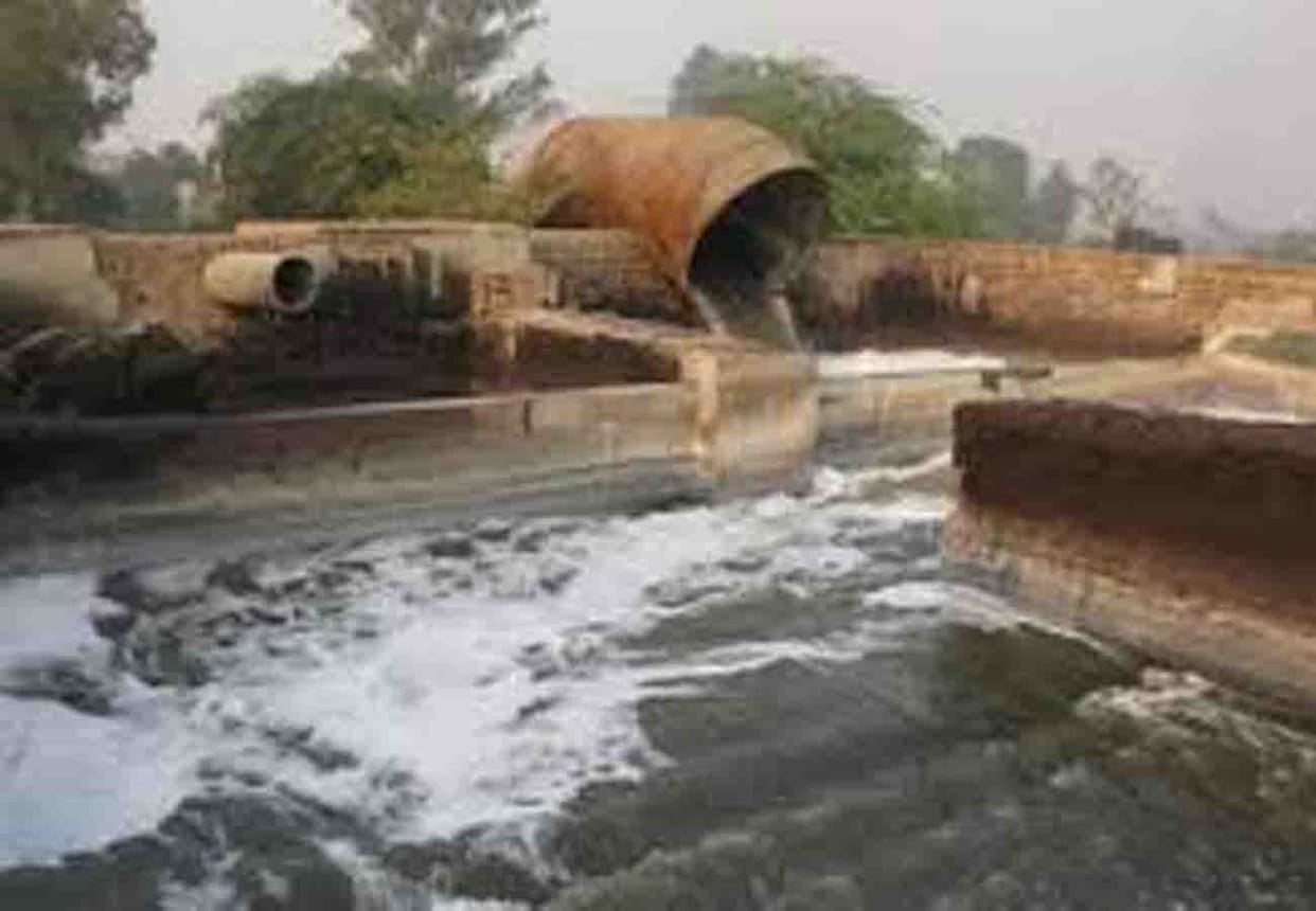 Government orders to stop 296 tanneries immediately
