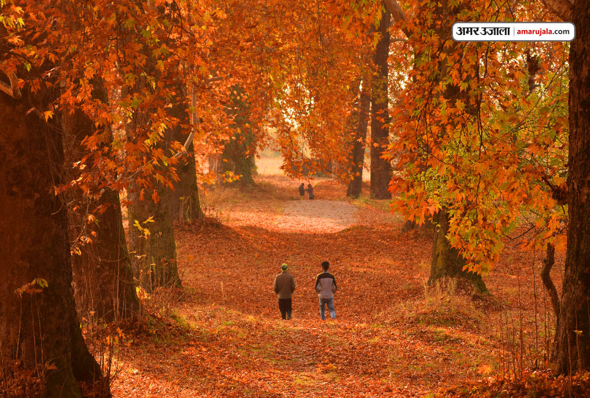 Berlin world largest travel trade show, World will see the nature beauty of Jammu Kashmir