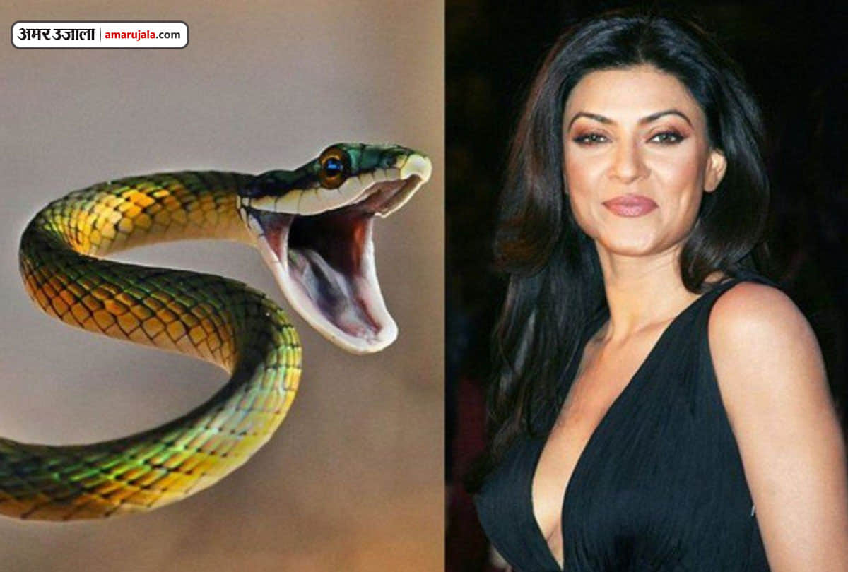 jammu birthday special bollywood actress sushmita sen has a pet python