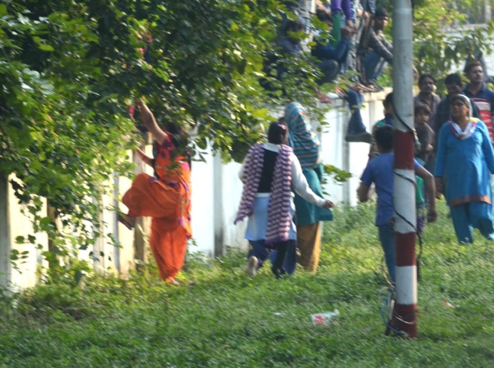 dangerous elephant reach BHEL haridwar