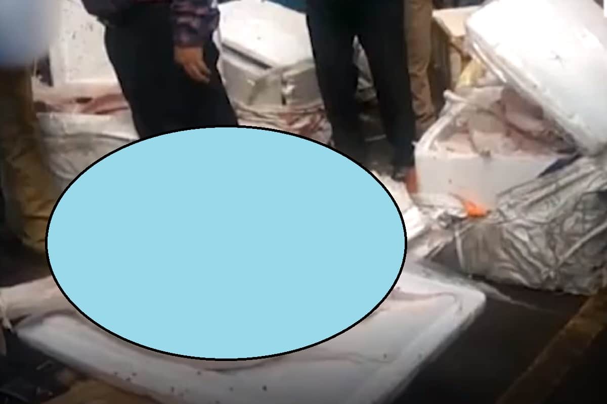 RPF Seized 11 Parcel Boxes at Chennai Egmore railway station