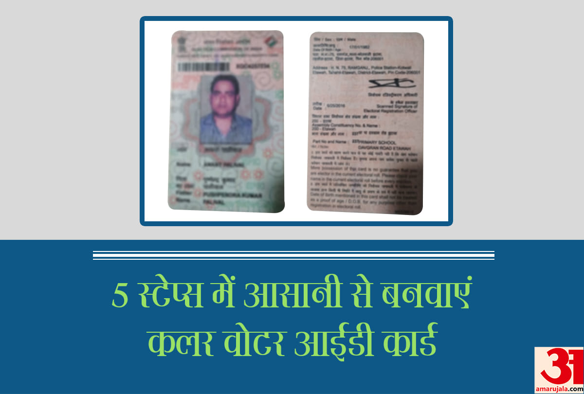 apply online color voter id card easily by sitting at your home or office