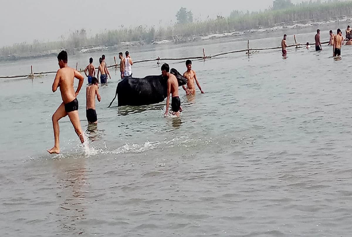 Meerut, makhdumpur mela was inaugurated and DM SSP rode the bullock cart